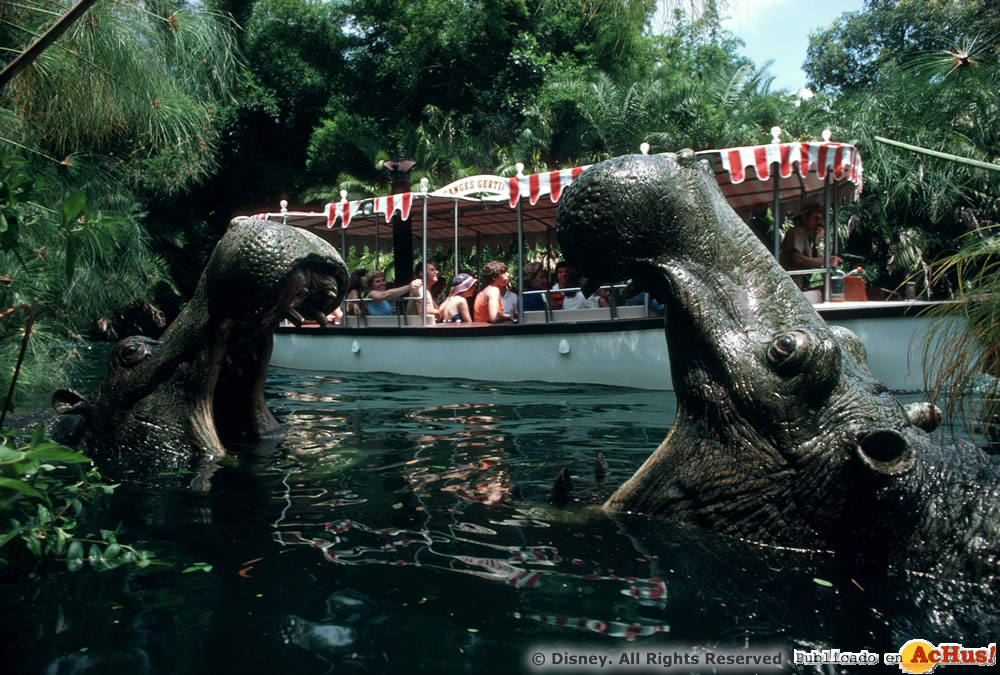 Imagen de Magic Kingdom (Orlando)  Jungle Cruise 001