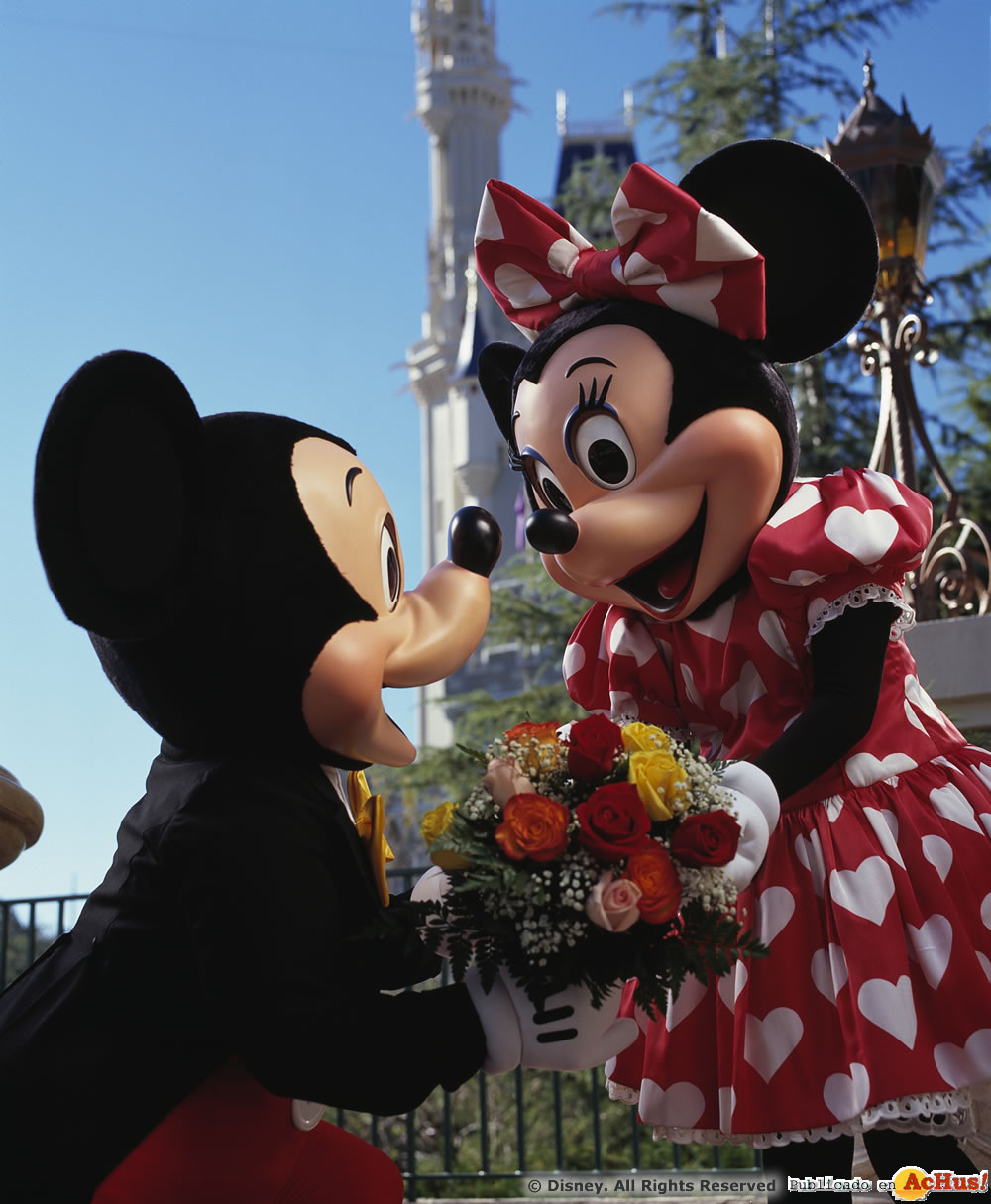 Imagen de Magic Kingdom (Orlando)  Mickey Mouse and Minnie Mouse