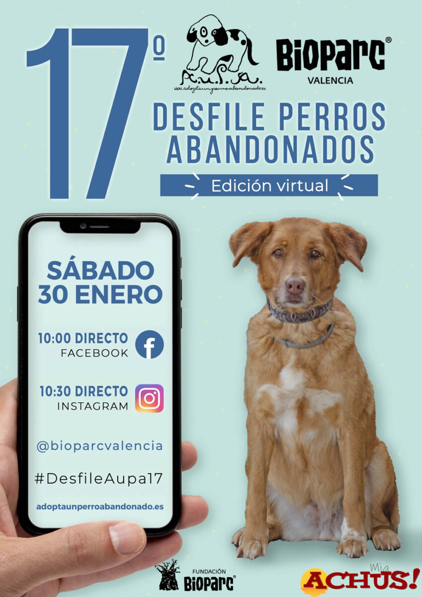 La 17ª edición del Desfile de perros abandonados A.U.P.A y BIOPARC será “virtual”