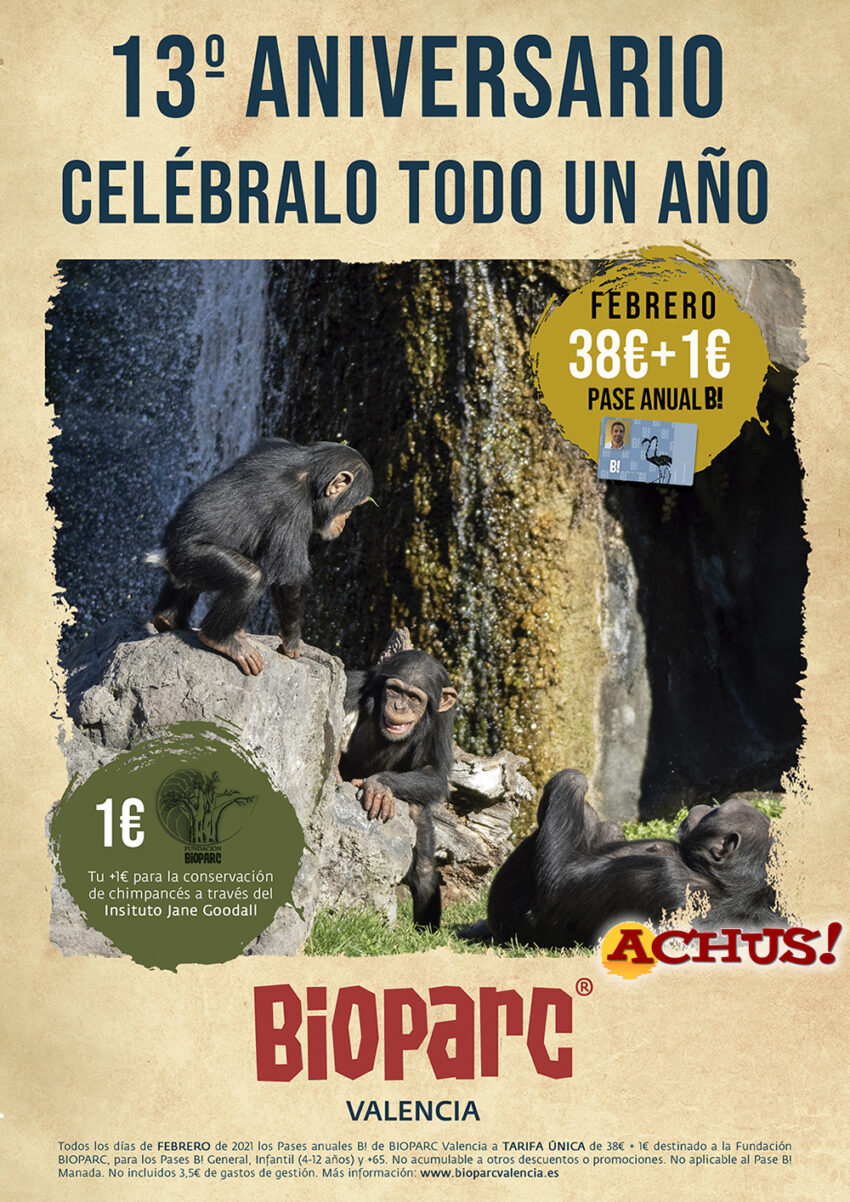 Bioparc Valencia propone celebrar su 13º aniversario todo un año