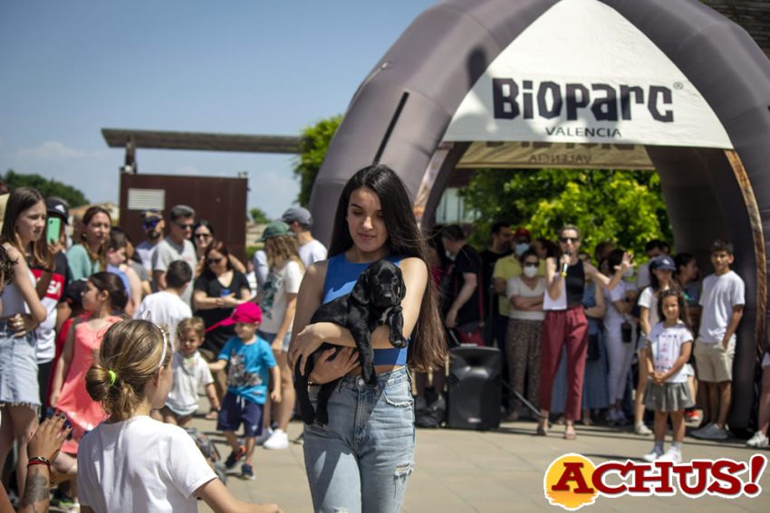 El Desfile de perros Aupa-Bioparc reúne a cientos de personas comprometidas con el bienestar animal