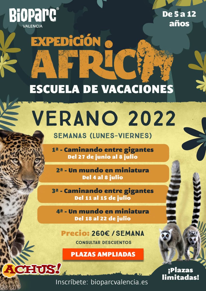 Por el éxito de participación, Bioparc Valencia amplía las inscripciones de “Expedición África”