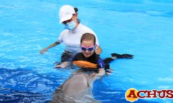La Fundación Mundomar inicia una nueva temporada de terapia con delfines