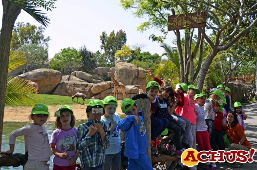 Bioparc Valencia abre las inscripciones de la escuela de vacaciones “Expedición África”