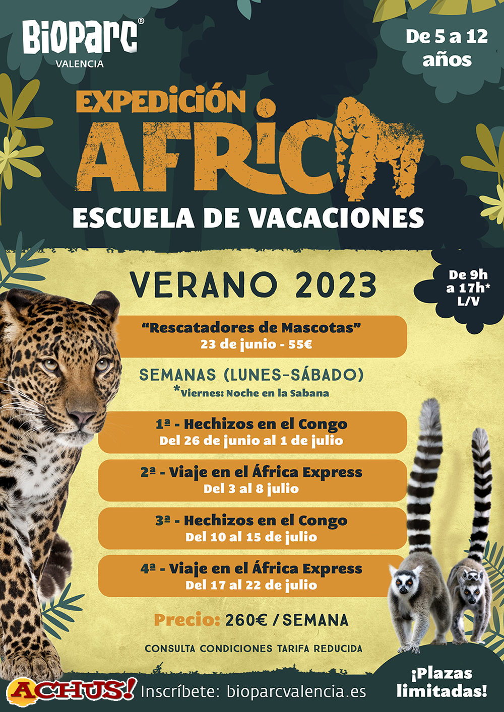 Bioparc Valencia abre las inscripciones de “Expedición África”, su escuela de vacaciones