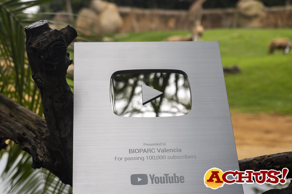 Bioparc Valencia alcanza 100.000 suscriptores en YouTube, el parque con más seguidores de la UE