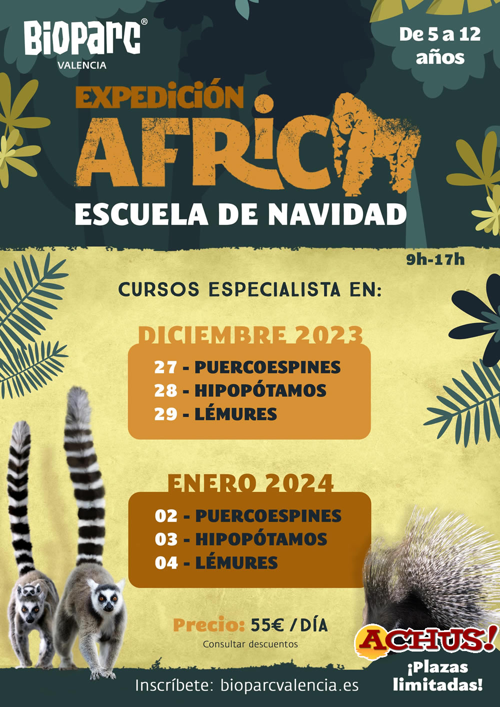 Comienza la inscripción de “Expedición África” Navidad, la escuela de vacaciones de Bioparc
