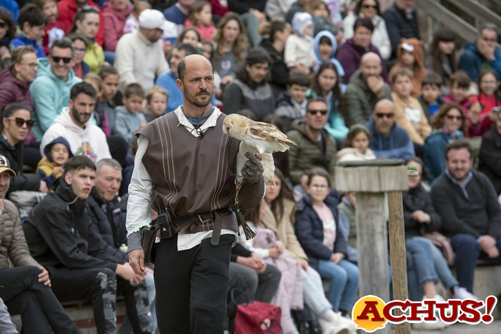 La nueva exhibición de vuelo de rapaces.